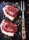 Red meat and vintage over rustic metal background
