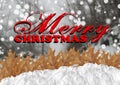 Red Merry Christmas with blurrforest and snow and leaves Royalty Free Stock Photo