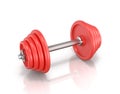 The red metal dumbbell Royalty Free Stock Photo