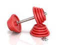 The red metal dumbbell with pancake Royalty Free Stock Photo