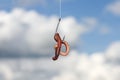 red metal worm writhing on a fish hook