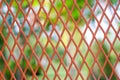 Red metallic mesh grid net