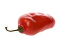 Red Mexican Chilli Macro Royalty Free Stock Photo