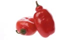 Red Mexican Chillies Macro Royalty Free Stock Photo