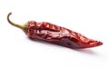 a red mexican dried chili pepper on a white background, created by Generative AI