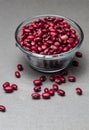 Red mini kidney beans measured in cup Phaseolus vulgaris Royalty Free Stock Photo