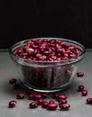 Red mini kidney beans measured in cup Phaseolus vulgaris Royalty Free Stock Photo