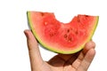 Red mini watermelon Citrullus lanatus var. lanatus piece with premorse piece held in left hand on white background