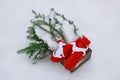 Red mittens, dog figures and green fir tree branches in wooden decorative box on snow. Royalty Free Stock Photo