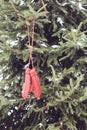 Red mittens on fir tree branches. Royalty Free Stock Photo