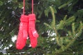 Red mittens on fir tree green branches. Royalty Free Stock Photo