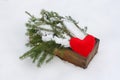 Red mittens and fir tree branches in wooden decorative box on snow. Royalty Free Stock Photo