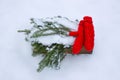 Red mittens and green fir tree branches in wooden decorative box on snow. Royalty Free Stock Photo