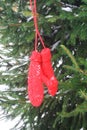 Red mittens on fir tree green branches. Royalty Free Stock Photo