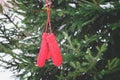 Red mittens on fir tree green branches. Royalty Free Stock Photo