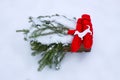 Red mittens, dog figure and green fir tree branches in wooden decorative box on snow. Royalty Free Stock Photo