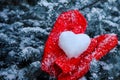 Red mittens with snow heart on pine tree snowy branches Royalty Free Stock Photo