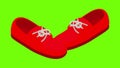 Red moccasins icon animation