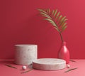 Red Mockup Stone Platform Podium With Palm Leaves 3d Render