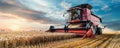 Red modern combine harvester working in golden wheat field at sunset Royalty Free Stock Photo