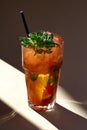 Red mojito cocktail with ice, mint leaves on paper background in selective focus, sunlight Royalty Free Stock Photo