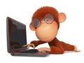 The red monkey with the laptop