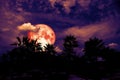 red moon back silhouette palm tree in dark night heap cloud