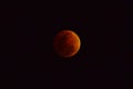 Red Moon Lunar eclipse Royalty Free Stock Photo