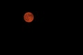 Red Moon Royalty Free Stock Photo