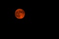 Red Moon in Lunar Eclipse Royalty Free Stock Photo