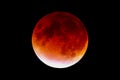 The red moon in the night sky close-up. 3D rendering Royalty Free Stock Photo
