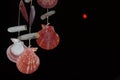 Red moon and shells