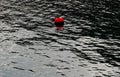 Red anchor mooring ball in the sea Royalty Free Stock Photo