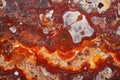 red moss agate texture macro Royalty Free Stock Photo