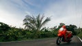 The red motorbike on forest road trail trip. One scooter, near tropical palm tree. Asia Thailand ride tourism. Single Royalty Free Stock Photo