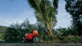 The red motorbike on forest road trail trip. One scooter, near tropical palm tree. Asia Thailand ride tourism. Single Royalty Free Stock Photo