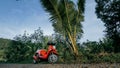 The red motorbike on forest road trail trip. One scooter, near tropical palm tree. Asia Thailand ride tourism. Single Royalty Free Stock Photo