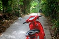 Red motorbike parked in green shady street. Royalty Free Stock Photo