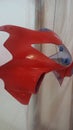 Red Motorcycle Fairing