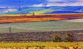 Red Mountain Autumn Colorful Vineyards Benton City Washington Royalty Free Stock Photo