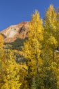 Red Mountain Pass Golden Aspens Royalty Free Stock Photo