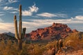 Red Mountain and Saguaro Cactus Royalty Free Stock Photo