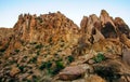 The Red Mountains, the stone desert, in which cacti and other succulents grow in Big Bend National Park in Texas. Royalty Free Stock Photo