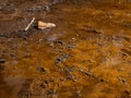 Red mud on the open lignite mine lake. Geopark Bad Muskau Leknica Royalty Free Stock Photo