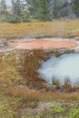 Red mud pool in the Thumb Paint Pots Royalty Free Stock Photo