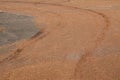 Muddy road texture in rainy season in deep jungle Royalty Free Stock Photo