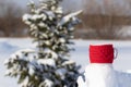 A red mug with a hot drink on a snowdrift on a frosty sunny winter day in the forest against the backdrop of snow-covered fir tree Royalty Free Stock Photo