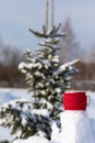 A red mug with a hot drink on a snowdrift on a frosty sunny winter day in the forest against the backdrop of snow-covered fir tree Royalty Free Stock Photo