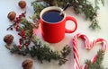 Red mug with hot tea, lollipops, juniper branches, nuts on a white background, side view-the concept of pleasant expectations of