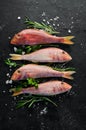 Red mullet fish. Sea fish. Seafood on black background. Royalty Free Stock Photo